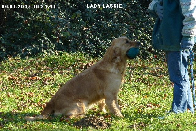Lady lassie des Rives de la Bidouze