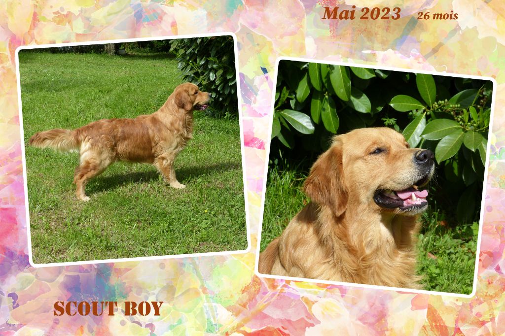Scout boy des Rives de la Bidouze